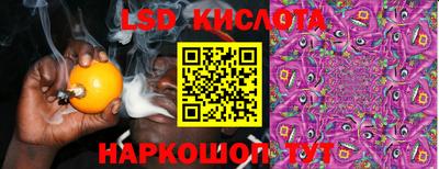 кокс Донской