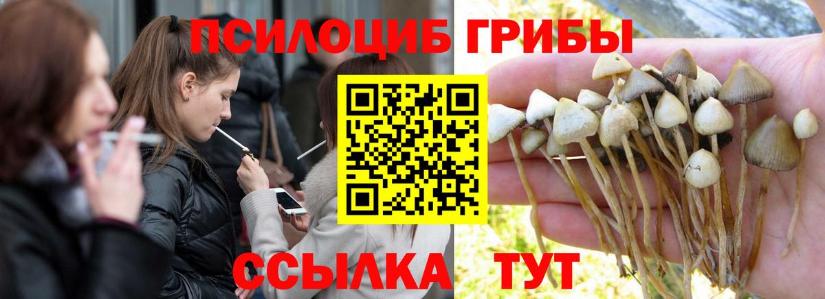 Галлюциногенные грибы Psilocybine cubensis  Вход с VPN  Лысьва  Псилоцибиновые грибы Psilocybe 