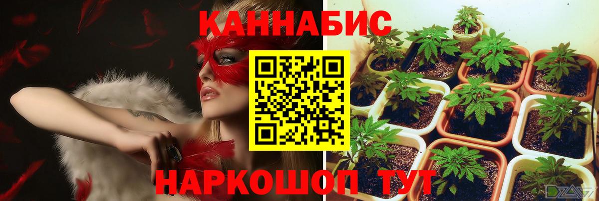 Лысьва  Бошки Шишки конопля  Вход с VPN  Каннабис ГИДРОПОН 